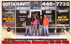 Gotta Havit Auto Insurance. About Agency